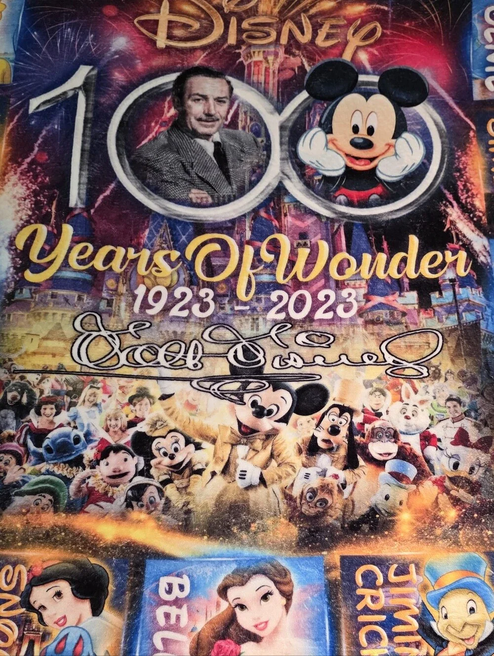 Disney 100 Years of Wonder Multicolor Throw Blanket